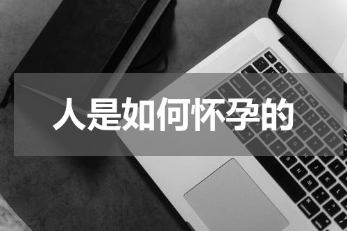 人是如何怀孕的