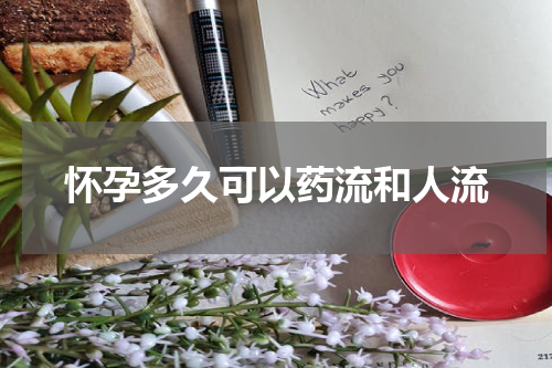 怀孕多久可以药流和人流