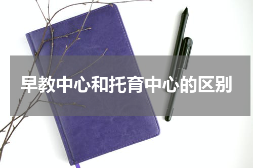 早教中心和托育中心的区别