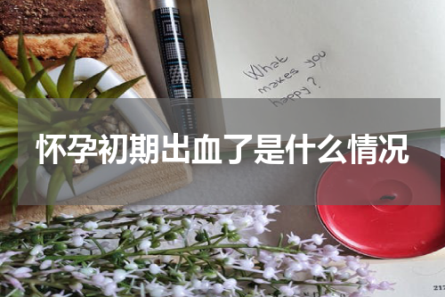 怀孕初期出血了是什么情况