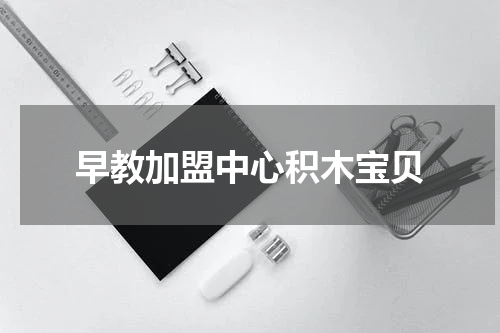 早教加盟中心积木宝贝