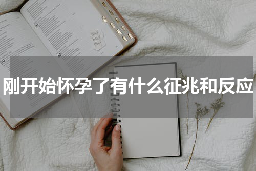 刚开始怀孕了有什么征兆和反应