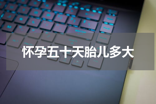 怀孕五十天胎儿多大