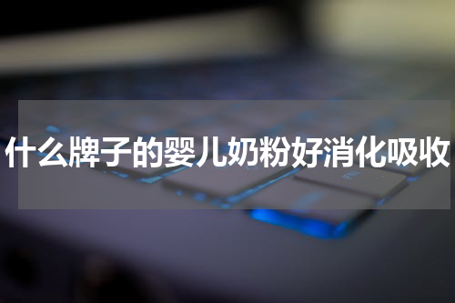 什么牌子的婴儿奶粉好消化吸收