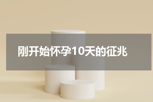 刚开始怀孕10天的征兆