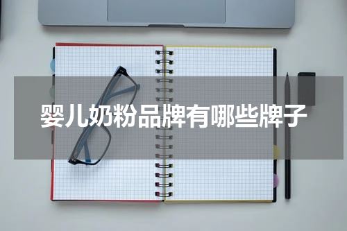 婴儿奶粉品牌有哪些牌子