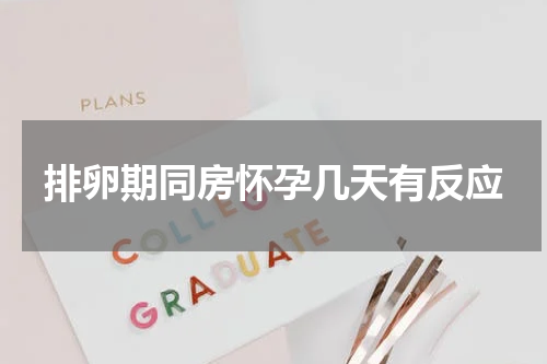 排卵期同房怀孕几天有反应