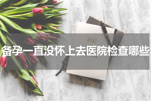 备孕一直没怀上去医院检查哪些