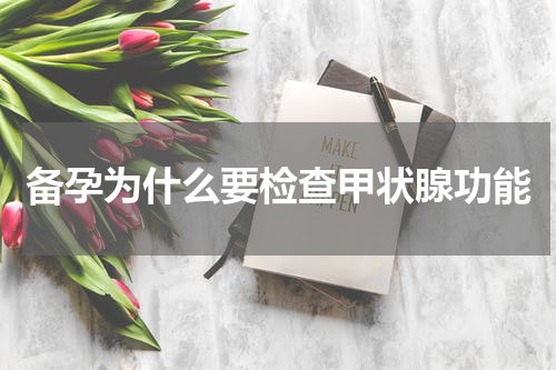 备孕为什么要检查甲状腺功能