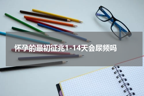 怀孕的最初征兆1-14天会尿频吗