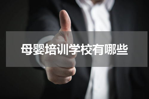 母婴培训学校有哪些