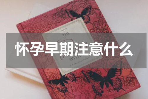 怀孕早期注意什么