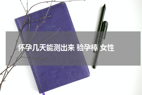 怀孕几天能测出来 验孕棒 女性