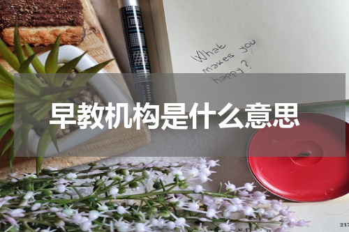 早教机构是什么意思