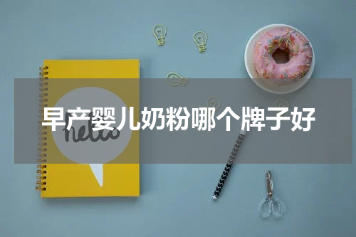 早产婴儿奶粉哪个牌子好