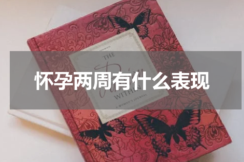 怀孕两周有什么表现