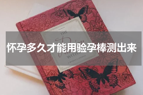 怀孕多久才能用验孕棒测出来