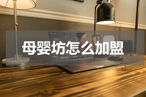 母婴坊怎么加盟