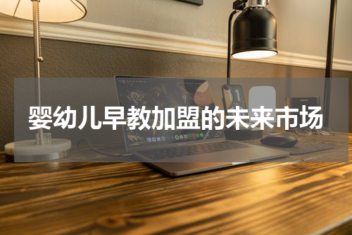 婴幼儿早教加盟的未来市场