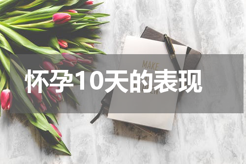 怀孕10天的表现