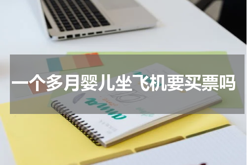 一个多月婴儿坐飞机要买票吗