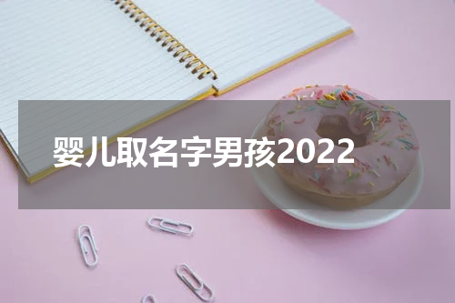 婴儿取名字男孩2022