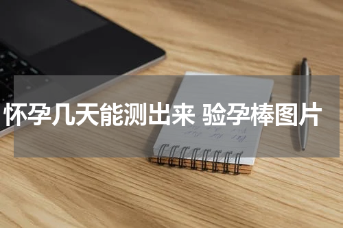 怀孕几天能测出来 验孕棒图片