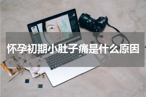 怀孕初期小肚子痛是什么原因
