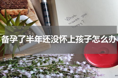 备孕了半年还没怀上孩子怎么办