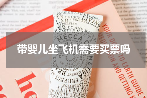 带婴儿坐飞机需要买票吗