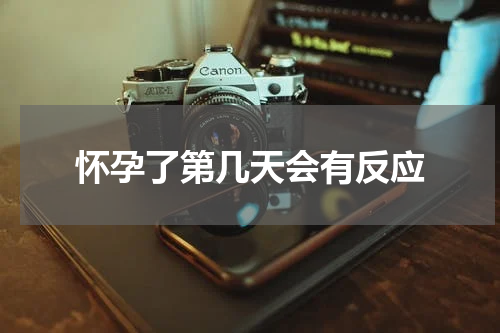 怀孕了第几天会有反应