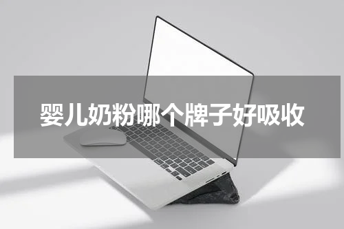 婴儿奶粉哪个牌子好吸收