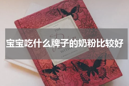 宝宝吃什么牌子的奶粉比较好