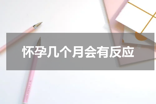 怀孕几个月会有反应