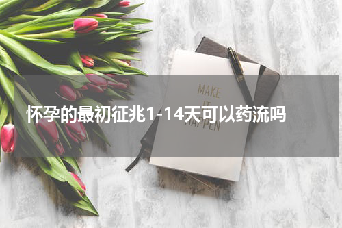 怀孕的最初征兆1-14天可以药流吗