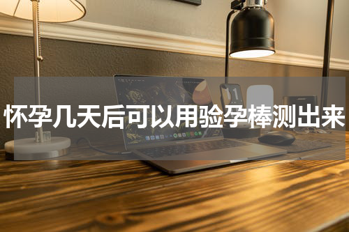 怀孕几天后可以用验孕棒测出来