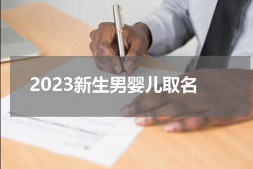 2023新生男婴儿取名