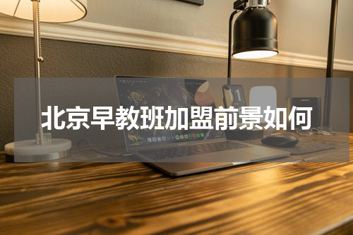 北京早教班加盟前景如何