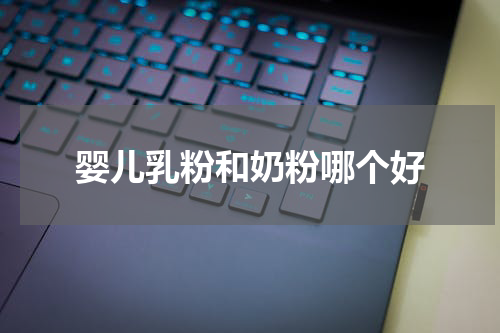 婴儿乳粉和奶粉哪个好