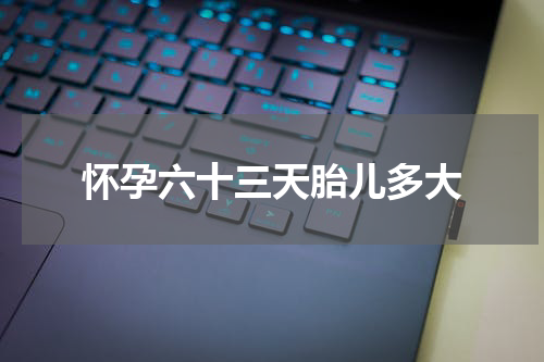 怀孕六十三天胎儿多大