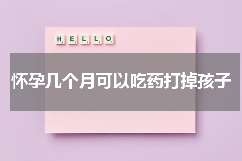 怀孕几个月可以吃药打掉孩子