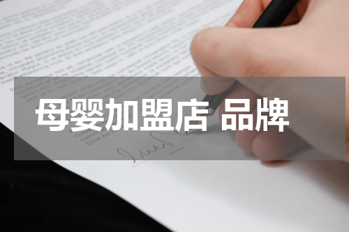 母婴加盟店 品牌