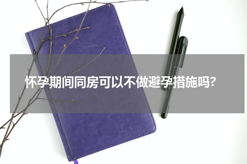 怀孕期间同房可以不做避孕措施吗?