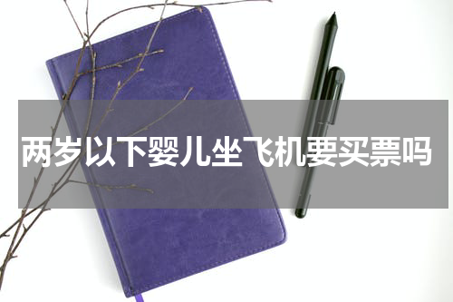 两岁以下婴儿坐飞机要买票吗