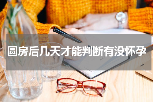 圆房后几天才能判断有没怀孕