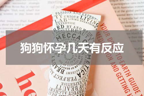 狗狗怀孕几天有反应