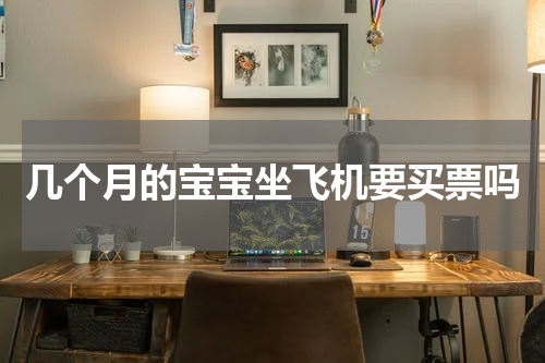 几个月的宝宝坐飞机要买票吗