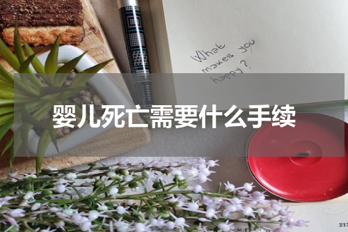 婴儿死亡需要什么手续