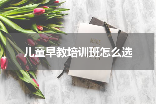 儿童早教培训班怎么选