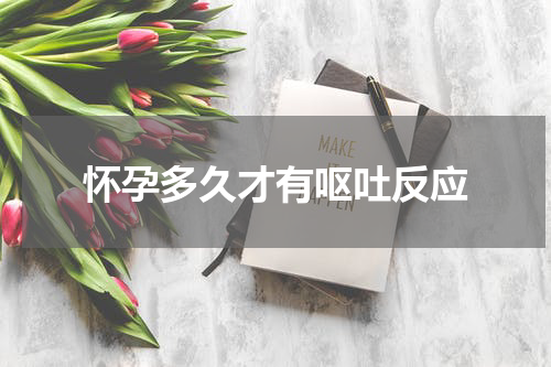 怀孕多久才有呕吐反应